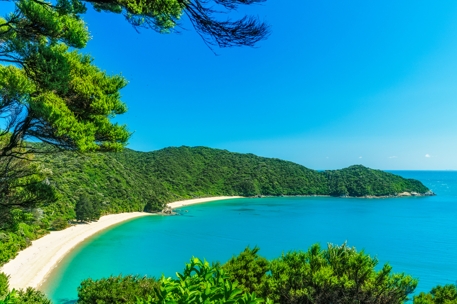 panorama of a beach, abel tasman national park, new zealand 1